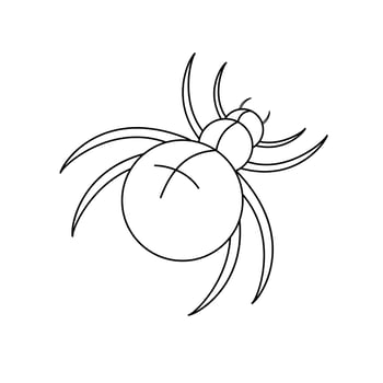 Contour black-and-white drawing of a spider. Vector illustration. Coloring page.