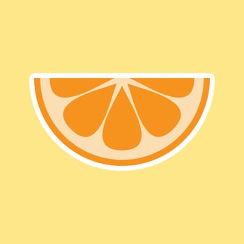slice of orange fruit. Vector illustration