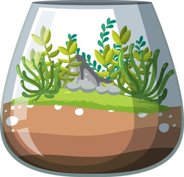 Cute glass terrariums with succulents on white backround vector