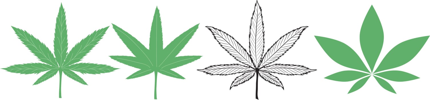 Green cannabis leaves isolated on white background.,marijuana or hemp icon, cannabis medical sign,2d  illustration vector