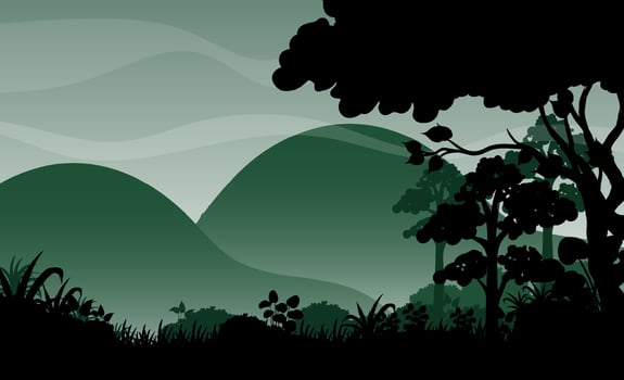 Silhouette shadow of forest scene vector