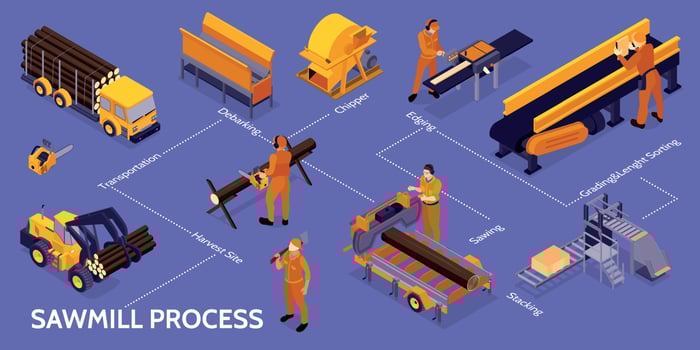 Isometric Sawmill Lumberjack Infographic vector