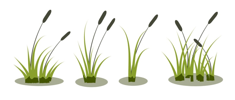 reeds cattail silhouette set on water vector