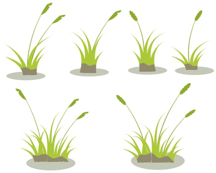 reeds and cattails set isolated on white background vector