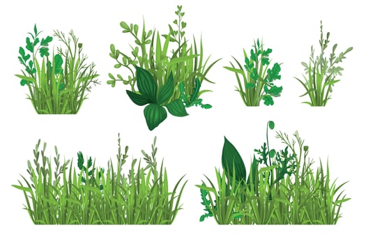 Green Grass Realistic Set vector