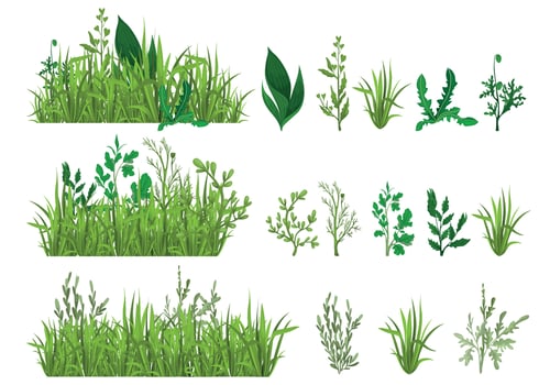 Green Grass Realistic Set vector