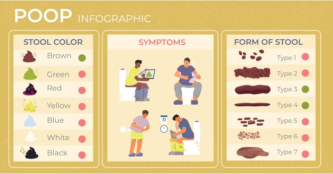 Poop Flat Infographic Composition vector