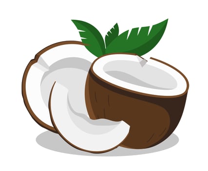 Coconut half with green leaves Vector illustration isolated on white background