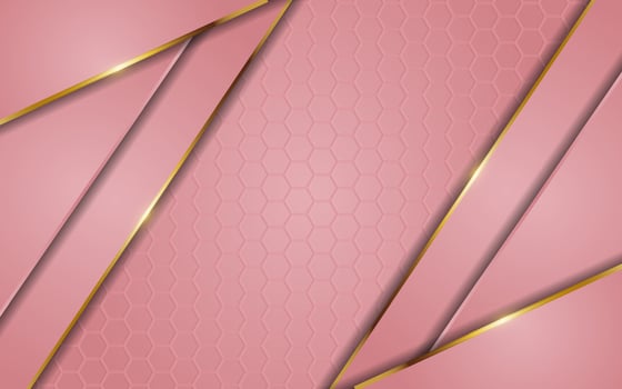 Luxury pink gradient background combination with line gold vector