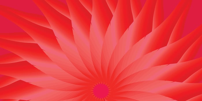 Abstract background red color nature flower floral plant blossom art design wallpaper backdrop pattern modern style vector illustration