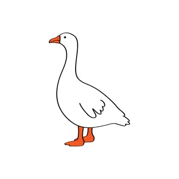 Vector white cartoon goose isolated on white background. Drawing in outline style standing poultry with red beak and long neck