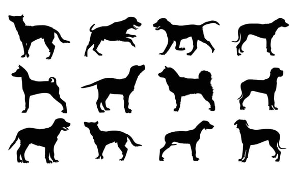 Vector silhouette of a dog on white background.