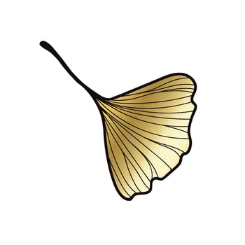 Vector illustration of ginkgo biloba leaf. ink line art design