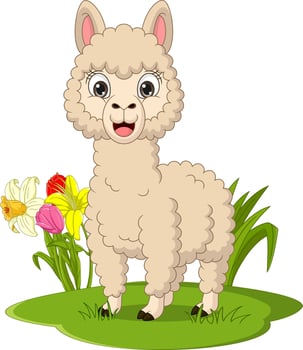 Cute llama cartoon in the grass vector