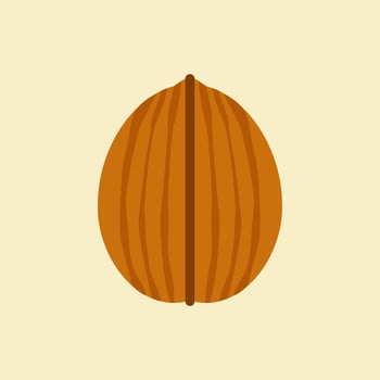walnut flat design. can be used in restaurant menu, cooking books and organic farm label. Healthy food. Tasty vegan . Organic product. Culinary ingredient. Detailed vector design