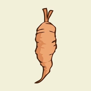 cassava flat design vector illustration. cassave icon vector. vegetable icon flat style