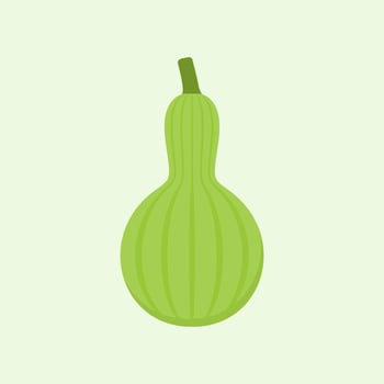 bottle gourd flat design vector illustration