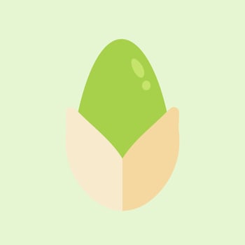 pistachio flat design vector illustration can be used in restaurant menu, cooking books and organic farm label. Healthy food. Tasty vegan . Organic product. Culinary ingredient. Detailed vector design