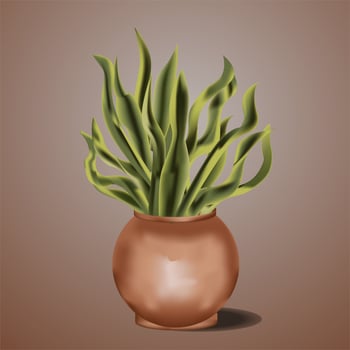 Snake Plant Illustration vector