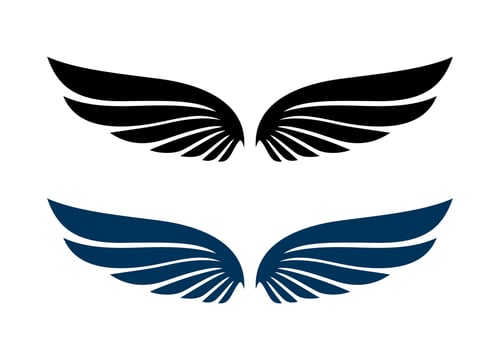 Wing icon. Wing logo company. Wing vector design. Animal wing design concept, vector wing pair isolated black on white Background
