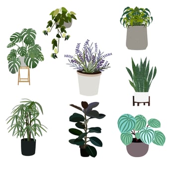 Set of plants. vector