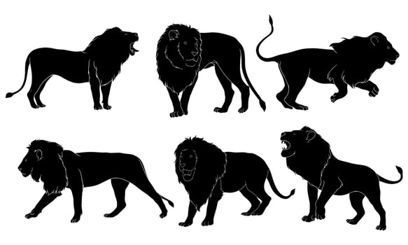 Hand drawn silhouette of male lion vector
