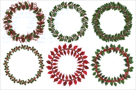 Set of Christmas wreath with winter floral elements. Vector illustration.