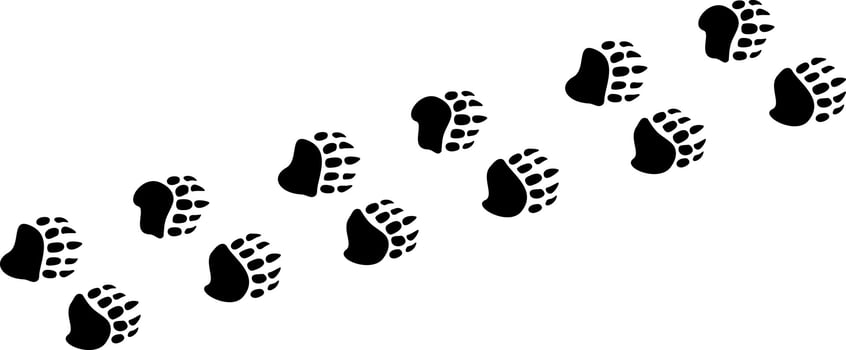 Footpath trail of animal. Badger paws walking randomly print vector