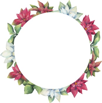 Watercolor frame of white and red poinsettia flowers. Hand painted floral circle border with poinsettia branches isolated on white background. vector