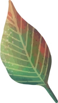 Green tropical palm leaf. Tropical plant. Hand painted watercolor illustration isolated on white. vector