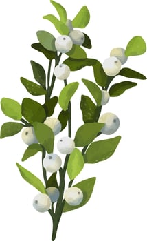 Watercolor christmas white mistletoe. Hand drawn watercolor illustration. vector