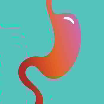 Human stomach background vector