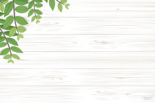 Wood texture background with green leaves. Vector illustration.
