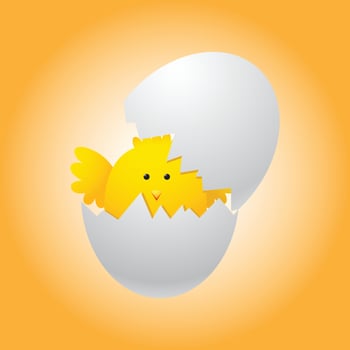 Egg Chicken Character Design vector