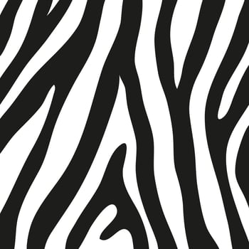 Black stripes on the skin of a zebra for decoration graphics vector