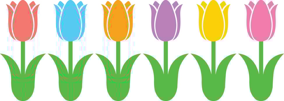 Tulips Flower 1 vector