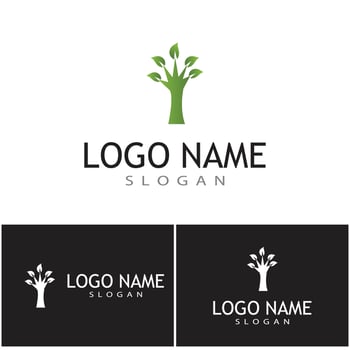 Logos of green Tree leaf ecology nature element vector