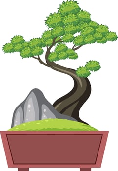 Bonsai tree in pot on white background vector