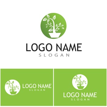 Mint leaves flat vector color icon template illustration design