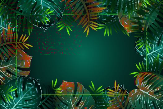 Summer green tropical flyer design with tropical flowers and monstera leaves. Frame design. Copy space vector