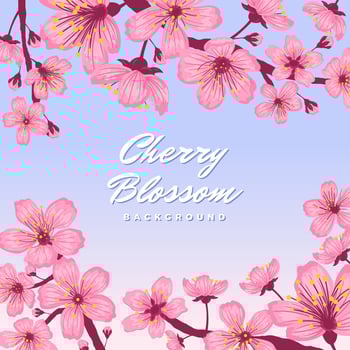 Cherry Blossom Background Concept vector