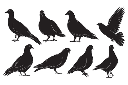 hand drawn silhouette of pigeon vector