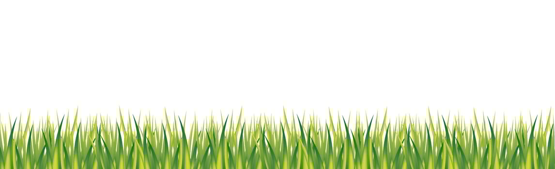 Realistic green grass on white panoramic background - Vector