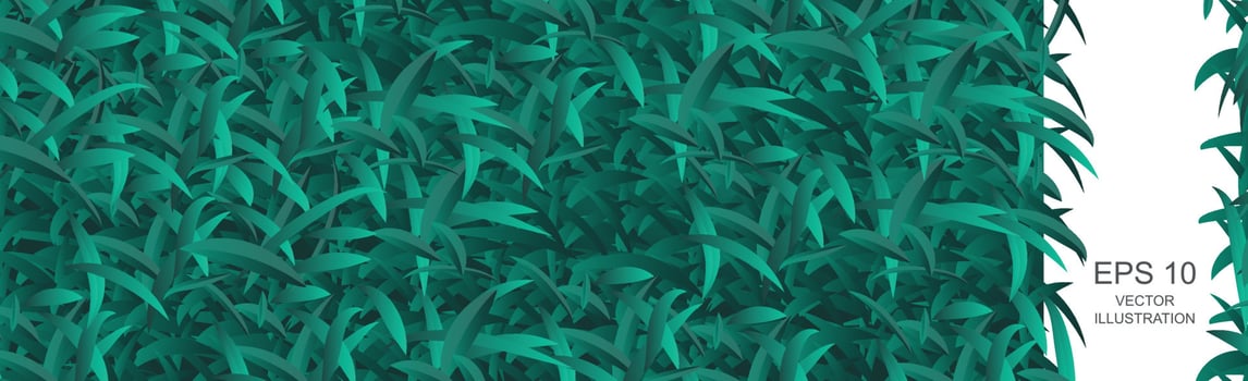 Realistic dark green grassy meadow panoramic background pattern texture - Vector