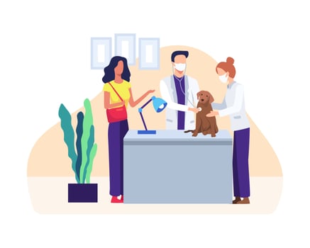 Veterinarian examining a dog vector