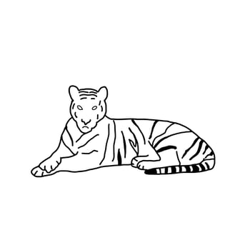 Tiger Animal in the forest Hand drawn organic line Doodle vector
