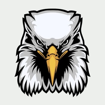 Eagle Head Mascot in Cartoon Style vector