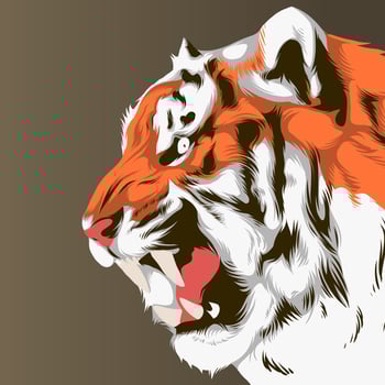 Roaring Tiger Head Flat Vector Illustration