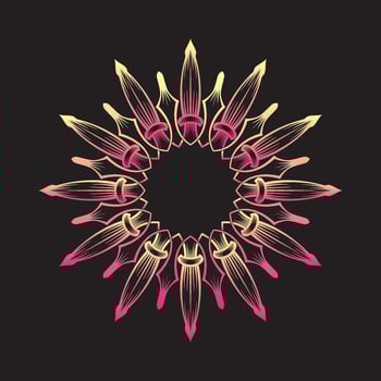ornament vector, beautiful round decoration vector