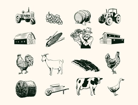 Farm element design with hand drawn style vector